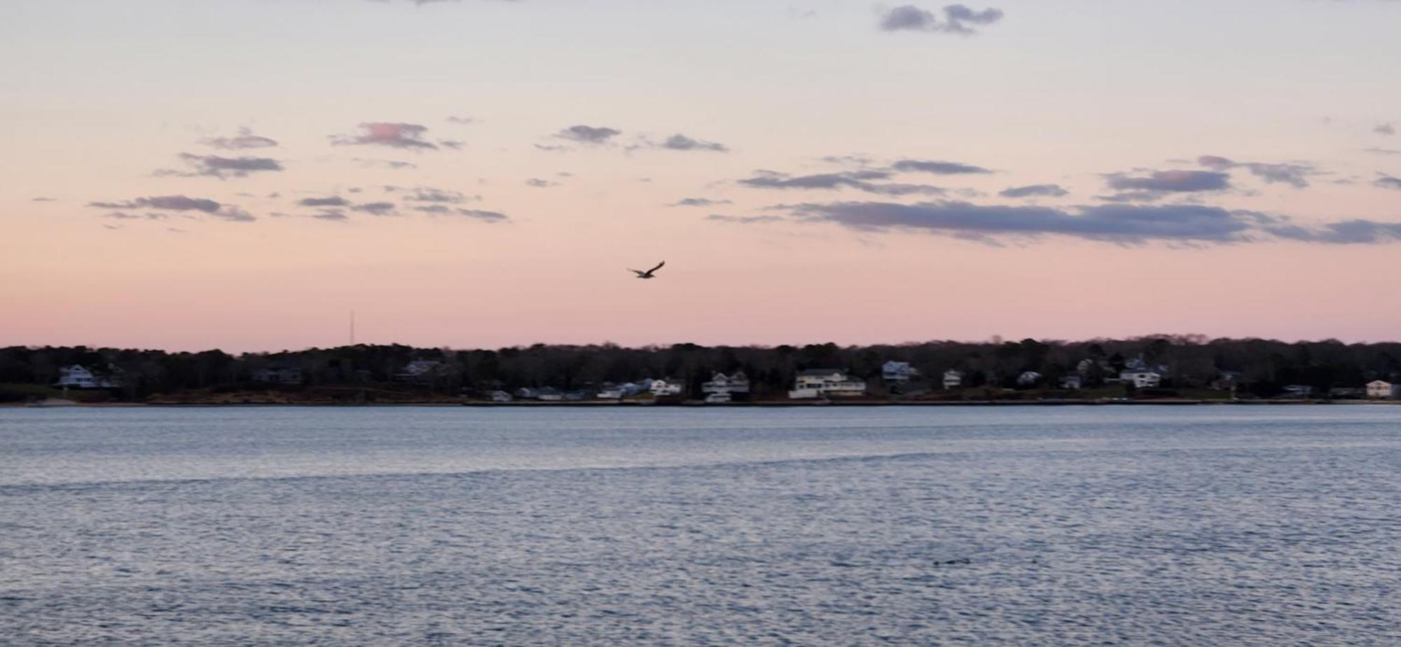 Motel Ocean View Terrace Hampton Bays Exterior foto